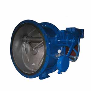 Һ���Ԅ��yֹ���y