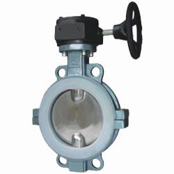 襯氟對夾蝶閥 襯氟對夾蝶閥