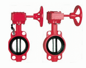 ������̖���y