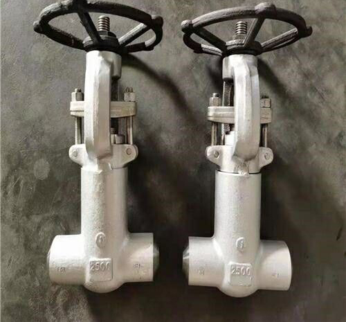 鍛鋼波紋管截止閥 鍛鋼波紋管截止閥