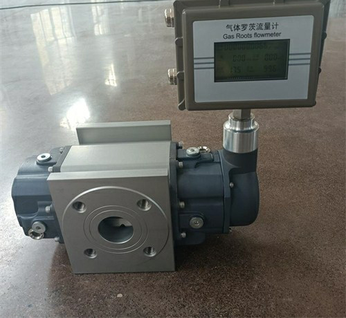 羅茨流量計(jì) 羅茨流量計(jì)