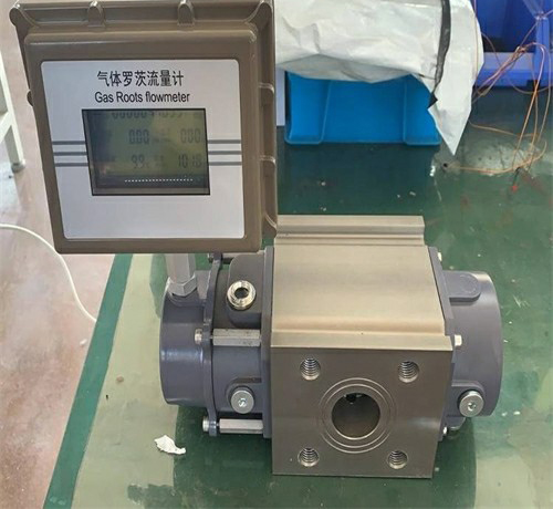 腰輪羅茨流量計(jì) 腰輪羅茨流量計(jì)